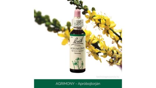 Nr.01. Bach-virágeszencia: Agrimony - Apróbojtorján 20ml