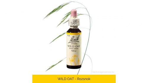 Nr.36. Bach-virágeszencia: Wild Oat - Ágas rozsnok 20ml