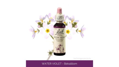 Nr.34. Bach-virágeszencia: Water Violet - Békaliliom 20ml