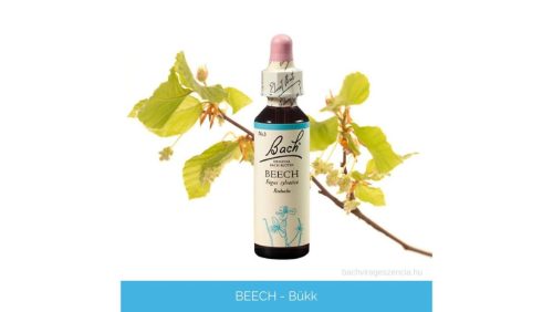 Nr.03. Bach-virágeszencia: Beech - Bükk 20ml