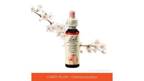 Nr.06. Bach-virágeszencia: Cherry Plum - Cseresznyeszilva 20ml