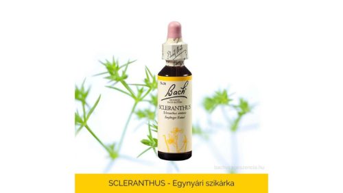 Nr.28. Bach-virágeszencia: Scleranthus - Egynyári szikárka 20ml