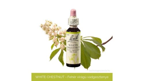 Nr.35. Bach-virágeszencia: White Chestnut - Fehérvirágú vadgesztenye 20ml
