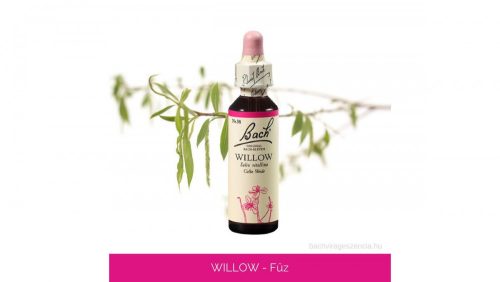 Nr.38. Bach-virágeszencia: Willow - Fűz 20ml