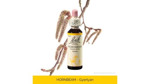 Nr.17. Bach-virágeszencia: Hornbeam - Gyertyán 20ml
