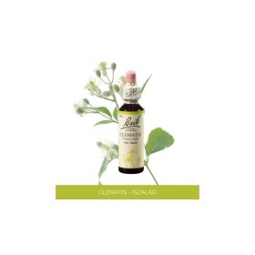 Nr.09. Bach-virágeszencia: Clematis - Iszalag 20ml