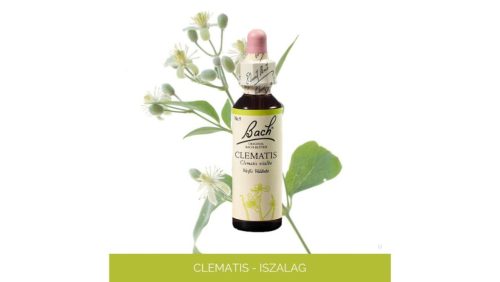 Nr.09. Bach-virágeszencia: Clematis - Iszalag 20ml