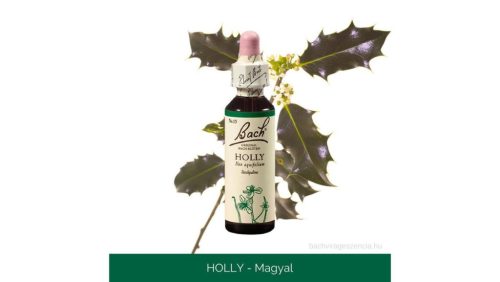 Nr.15. Bach-virágeszencia: Holly - Magyal 20ml