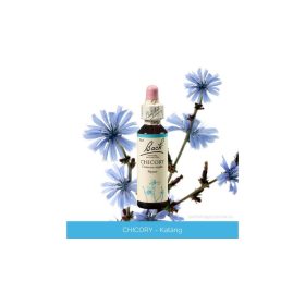 Nr.08. Bach-virágeszencia: Chicory - Mezei katáng 20ml