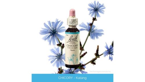 Nr.08. Bach-virágeszencia: Chicory - Mezei katáng 20ml