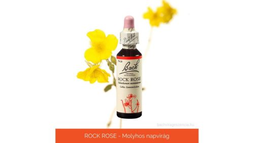 Nr.26. Bach-virágeszencia: Rock Rose - Molyhos napvirág 20ml