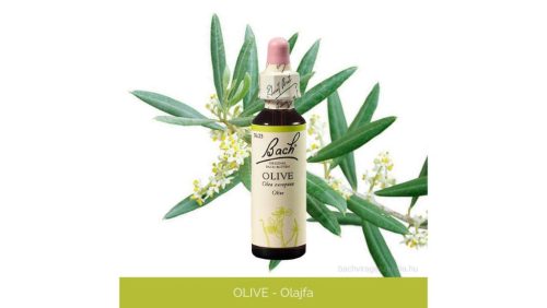 Nr.23. Bach-virágeszencia: Olive - Olajfa 20ml