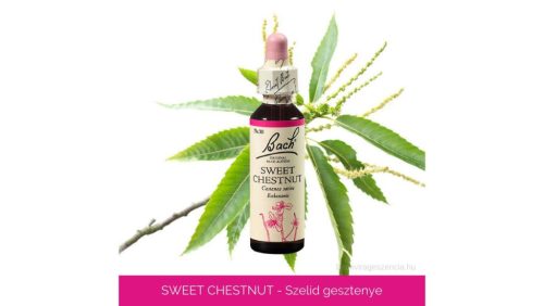 Nr.30. Bach-virágeszencia: Sweet Chestnut - Szelídgesztenye 20ml