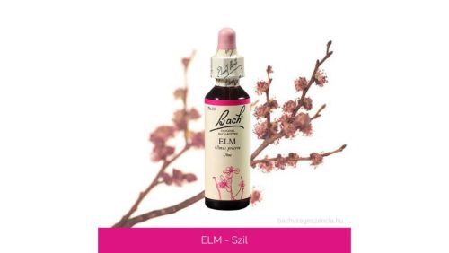Nr.11. Bach-virágeszencia: Elm - Szil 20ml