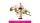 Nr.10. Bach-virágeszencia: Crab Apple - Vadalma 20ml