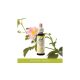 Nr.37. Bach-virágeszencia: Wild Rose - Vadrózsa 20ml