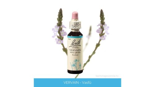 Nr.31. Bach-virágeszencia: Vervain - Vasfű 20ml