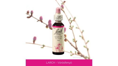 Nr.19. Bach-virágeszencia: Larch - Vörösfenyő 20ml