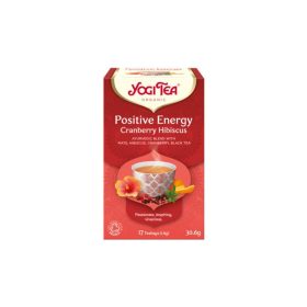 YogiTea Bio Pozitív energia tea 17x