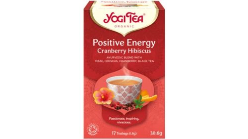 YogiTea Bio Pozitív energia tea 17x