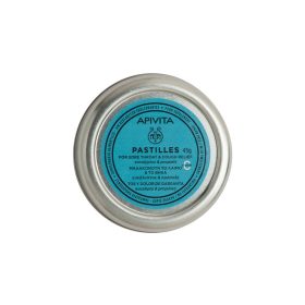 APIVITA TOROKPASZTILLA EUKALIPTUSZ 45G