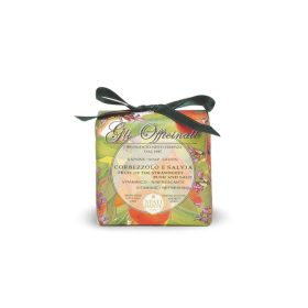 Nesti Dante Gli Officinali Strawberry b.& Sage szappan 200g