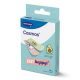 Cosmos Mr. Wonderful sebtapasz 16x