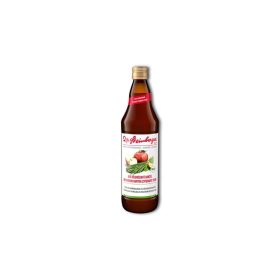   Dr.Steinberger Zöldbúzafű koktél ivólé BIO Vigyél Vissza 750ml