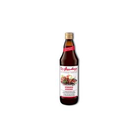   Dr.Steinberger Antioxidánsok ivólé BIO Vigyél vissza 750ml