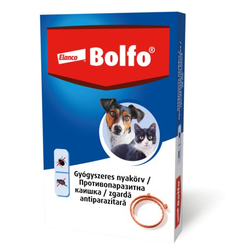 BOLFO BOLHA,KULLANCS MACSKA NYAKORV 38 CM
